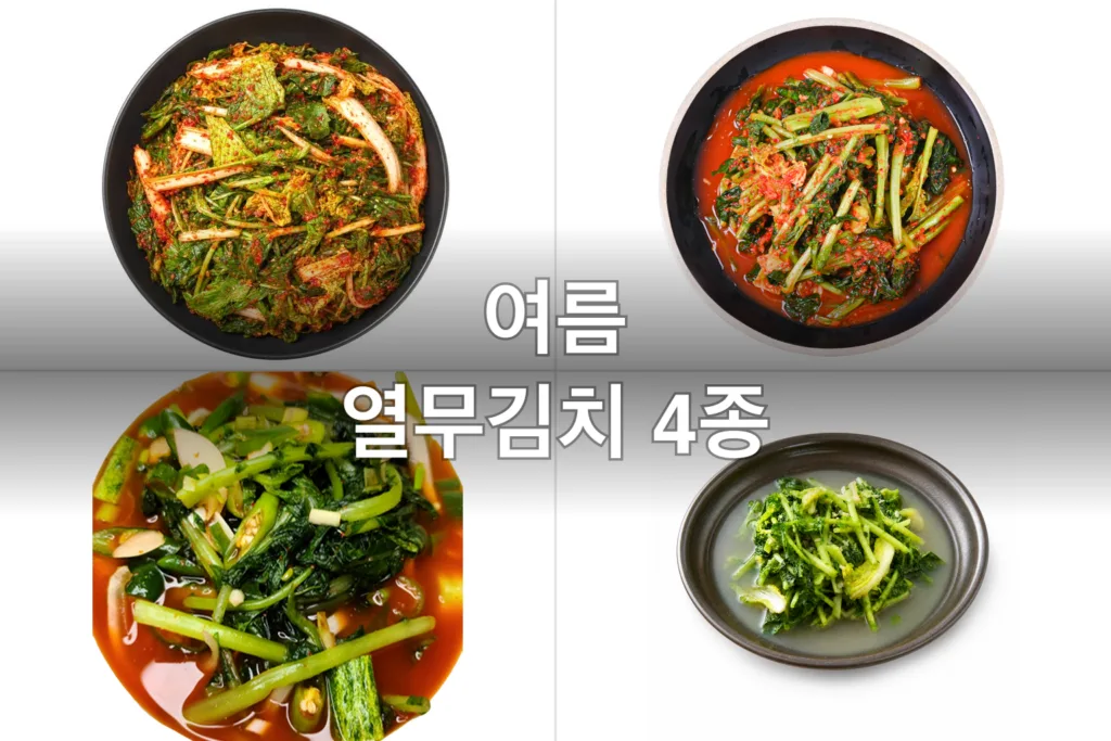 여름 입맛 살리는 열무김치 4종, 직접 먹어보고 고른 후기