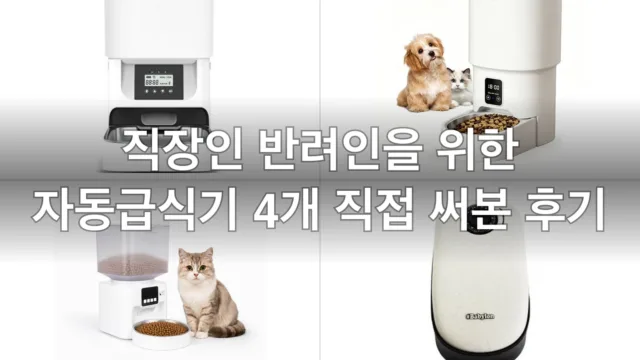 바쁜 직장인 반려인 자동급식기 4개, 직접 써보고 고른 후기